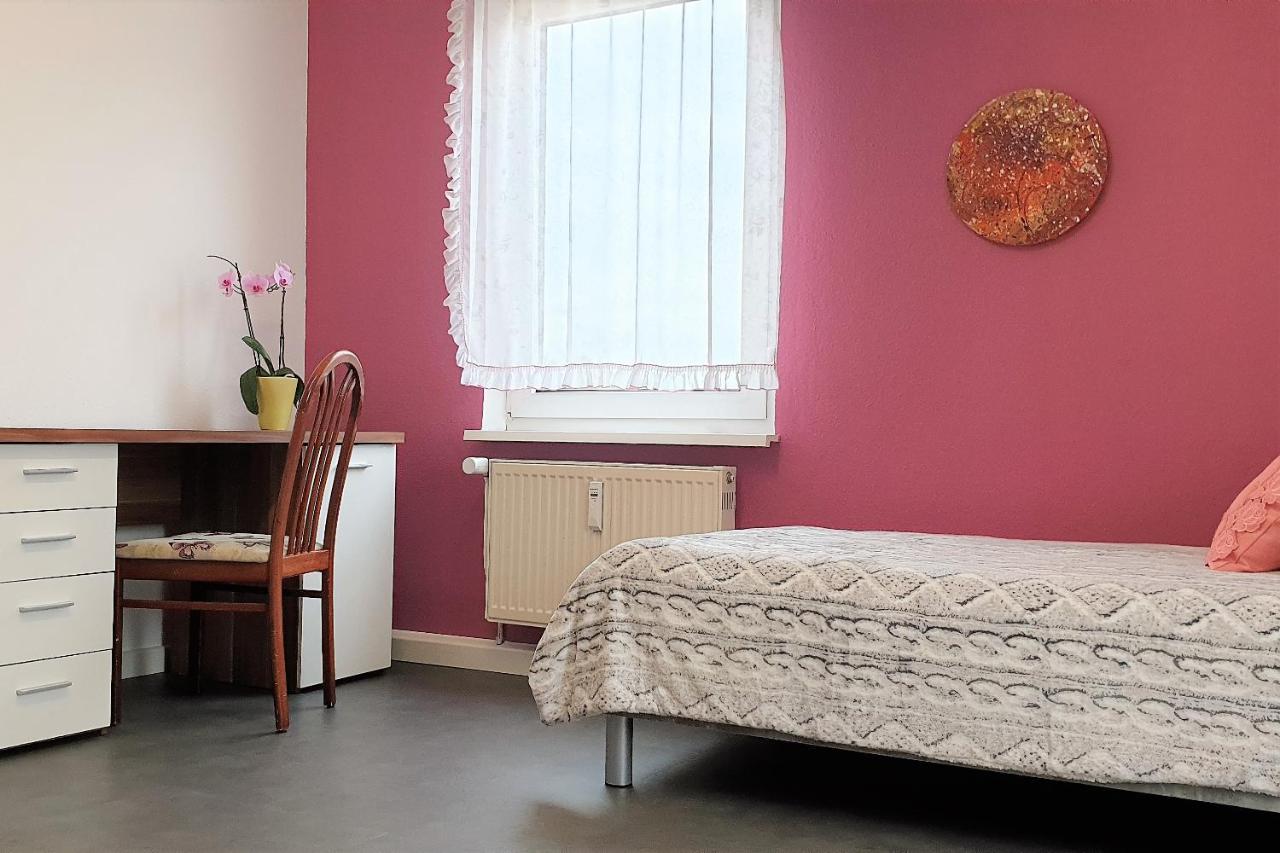Apartment Bayreuth, Grosse Ferienwohnung Im Haus Mit Kunst, 3 Schlafzimmer, Kueche, Parkplatz ภายนอก รูปภาพ