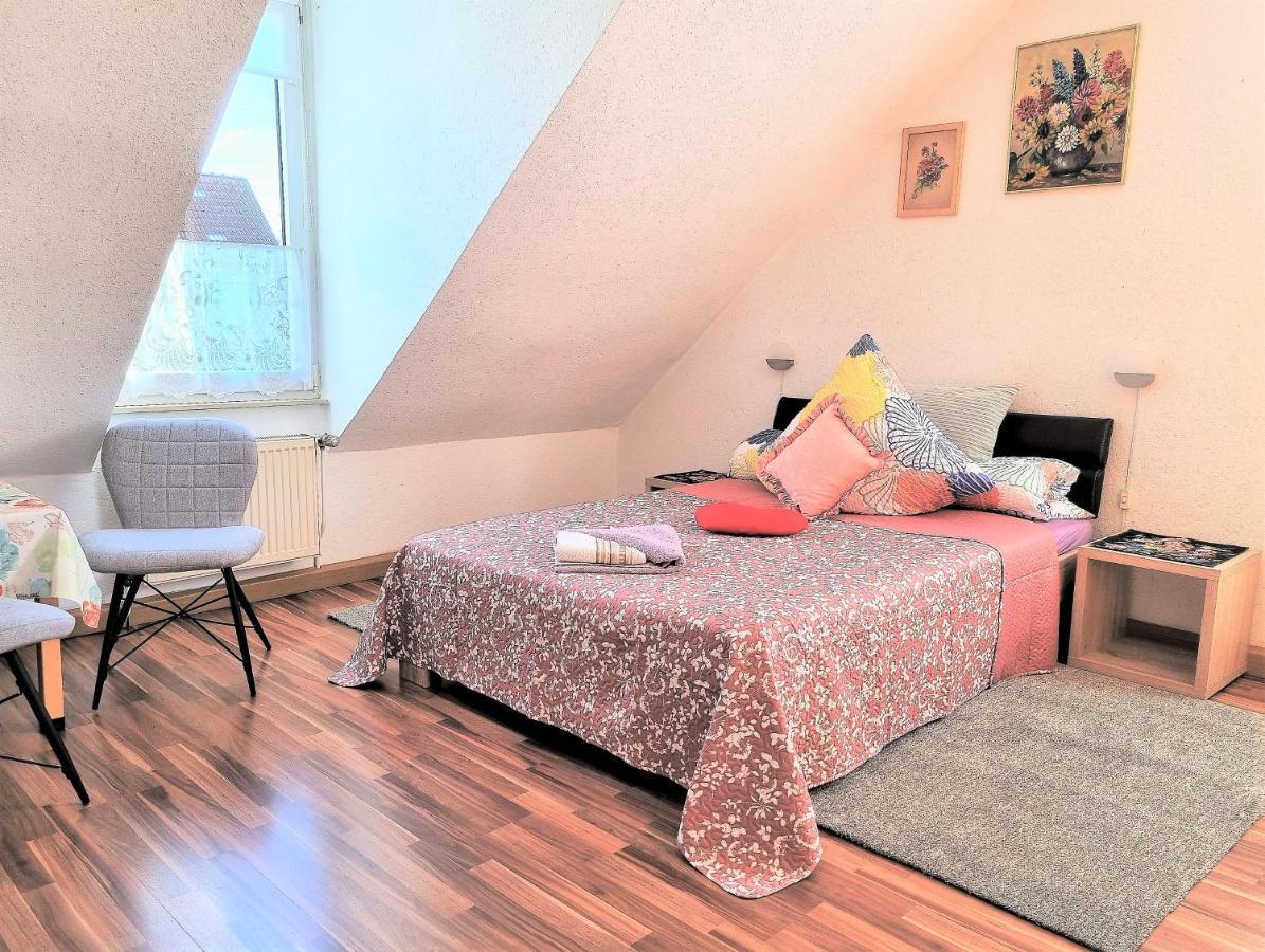 Apartment Bayreuth, Grosse Ferienwohnung Im Haus Mit Kunst, 3 Schlafzimmer, Kueche, Parkplatz ภายนอก รูปภาพ